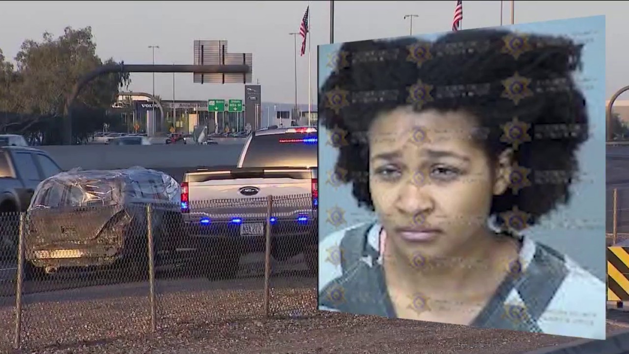 Woman shot man, set car on fire in failed suicide pact: court docs
