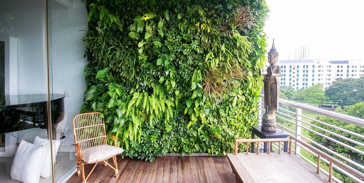 Cómo crear un jardín vertical en un balcón pequeño para decorar y ...