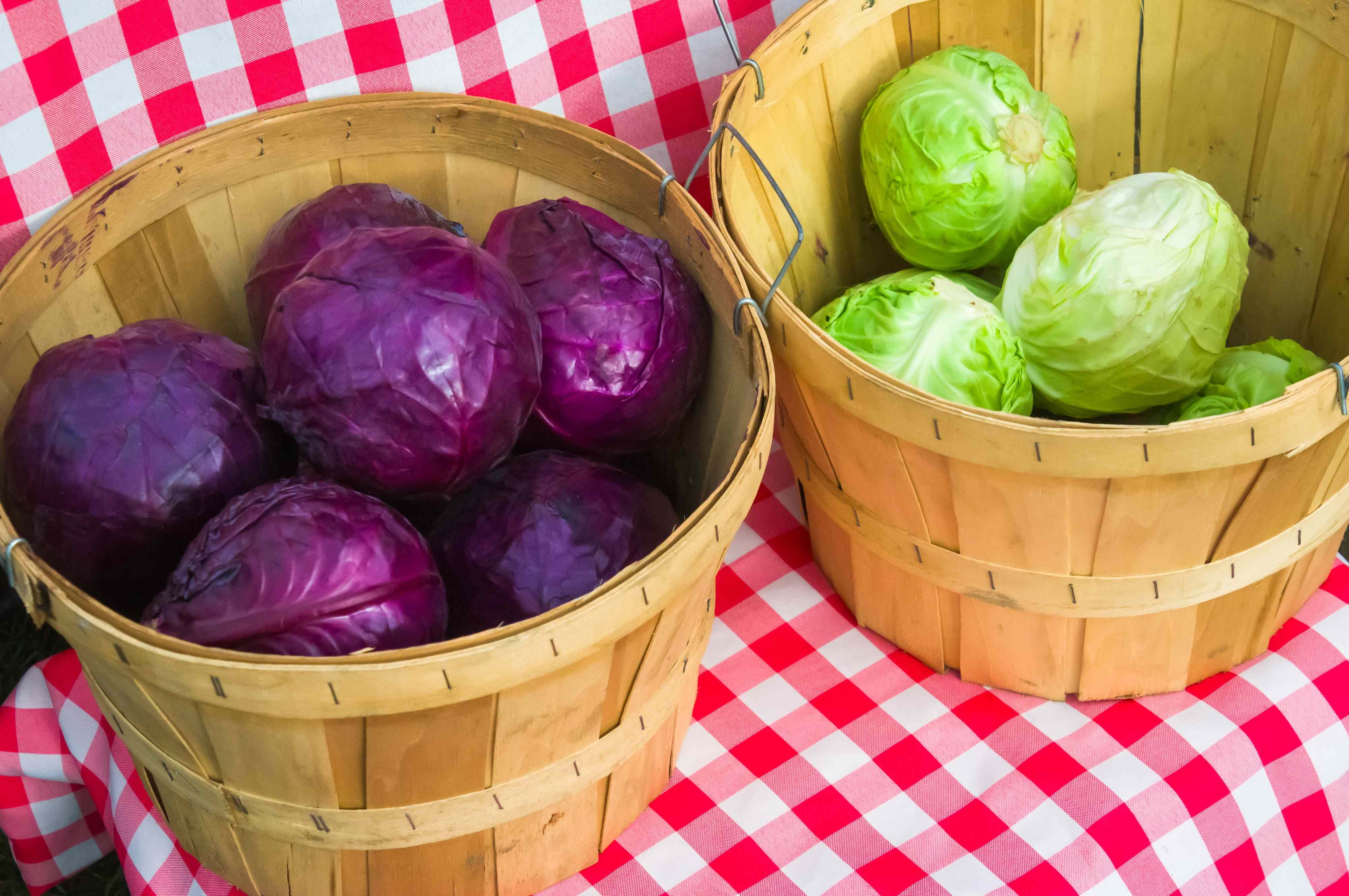 What Do Red and Green Actually Make When You Mix Them?