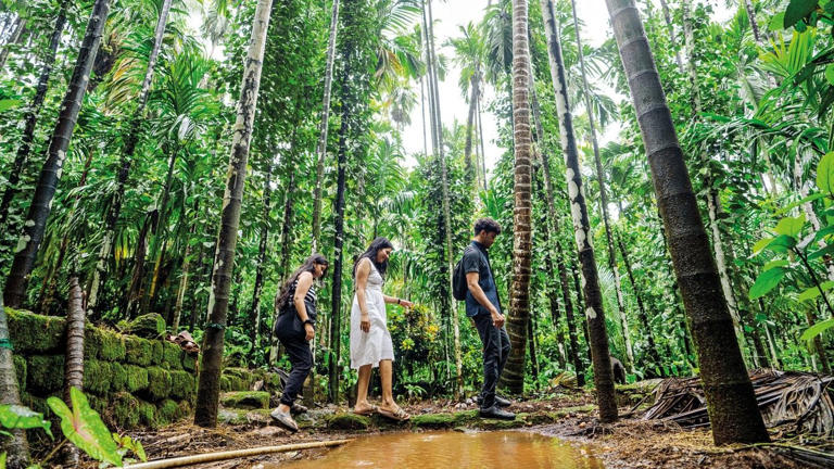 Embracing the slow way of living at Rivona village in Goa