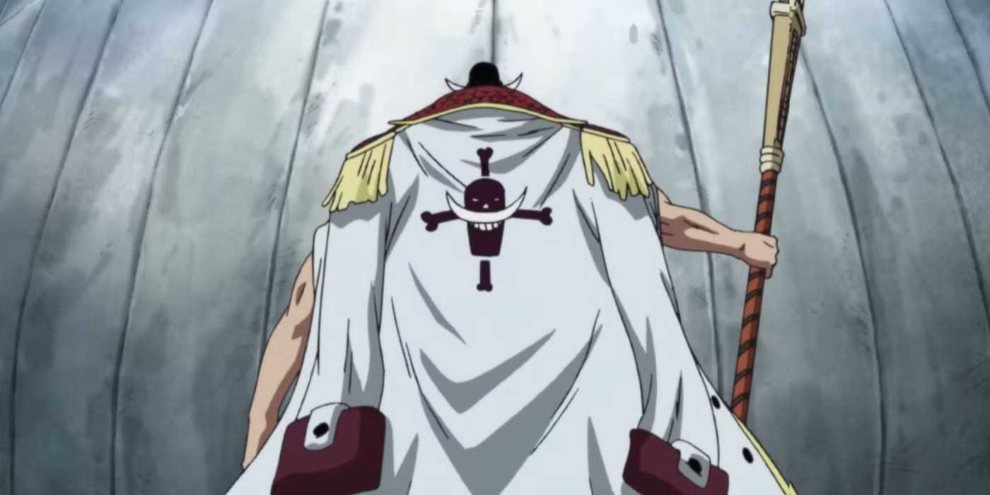 Whitebeard faces Moby Dick, displaying Jolly Roger on his cape in Marineford arc