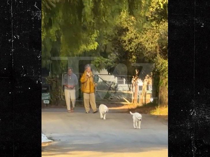 'Baywatch' Star David Charvet Says Video Shows Dogs Off Leash After ...