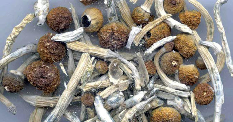 FDA fast-tracks psychedelic drug research following Trump executive order