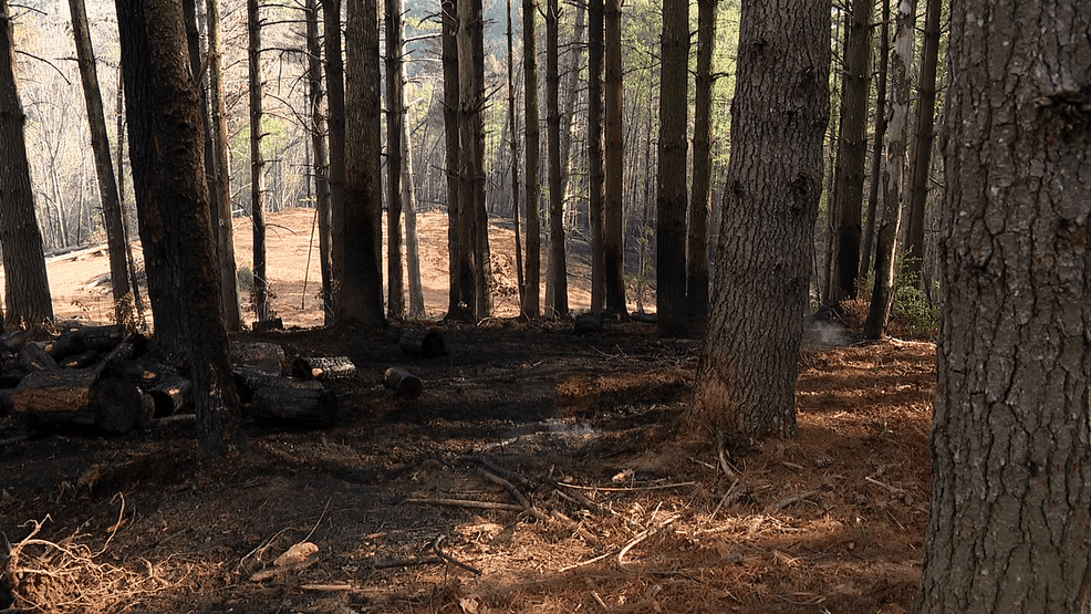 North Carolina state budget includes $7M to reduce wildfire risk from ...