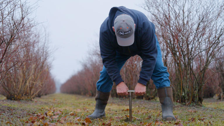 I bought a blueberry farm at 55. It wasn't what I expected, and I'd do ...