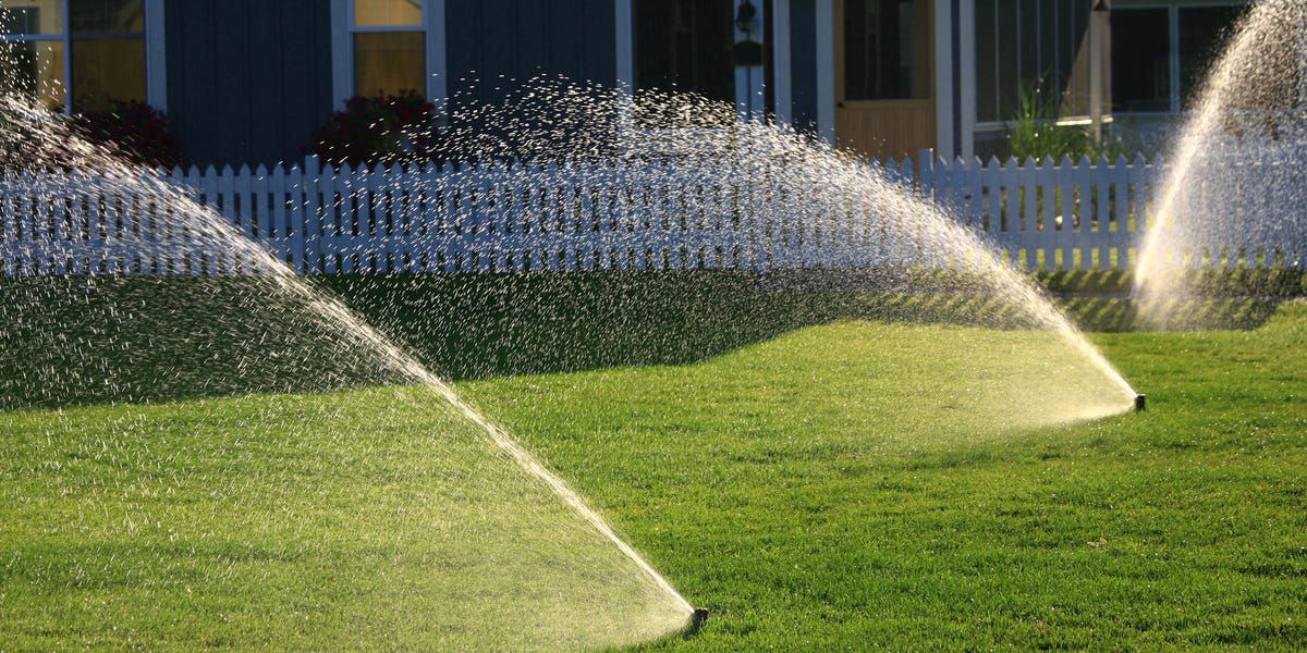 When Is the Best Time of Day to Water Your Lawn?