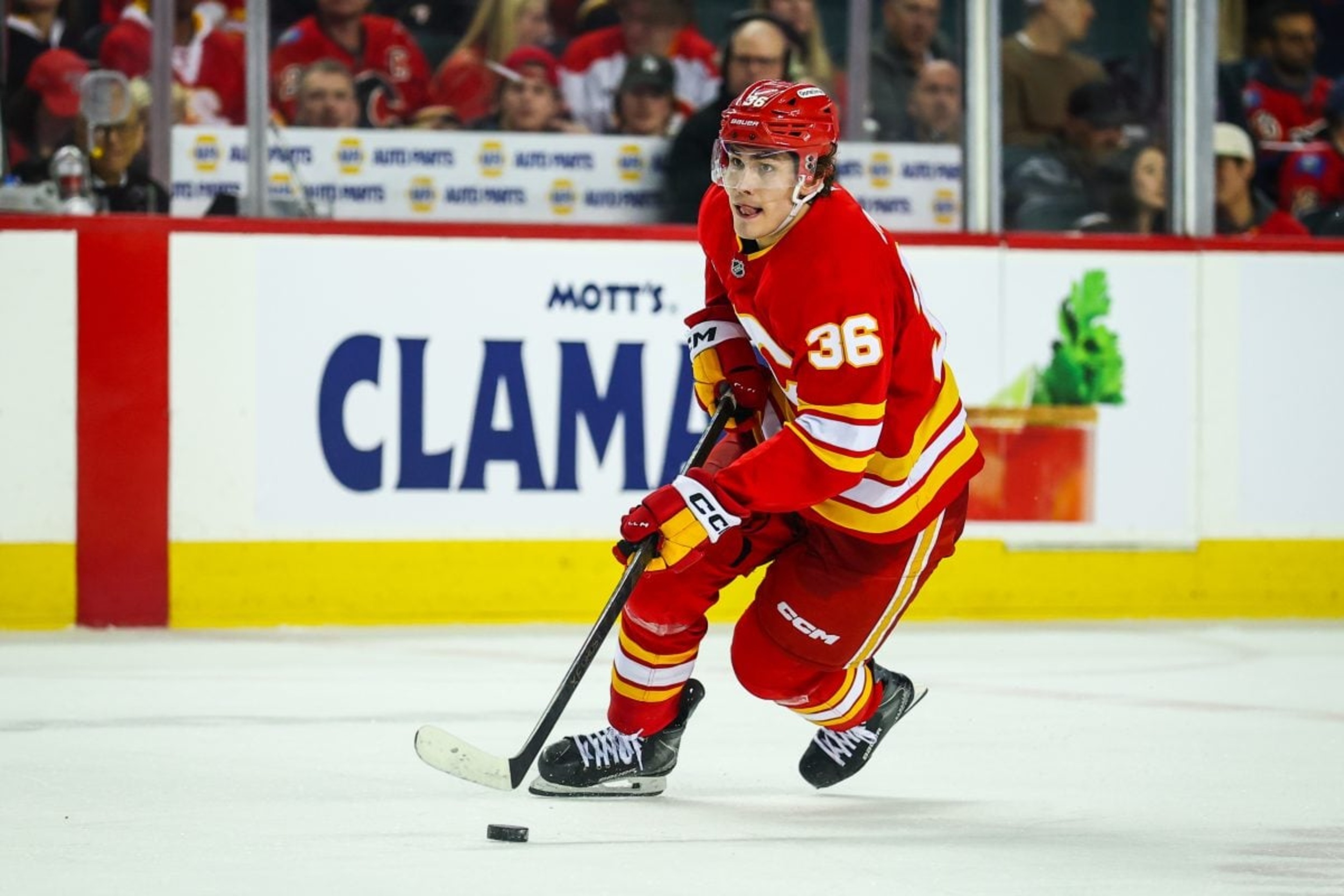 Flames look to boost stale offence by calling up Castagna & Suniev
