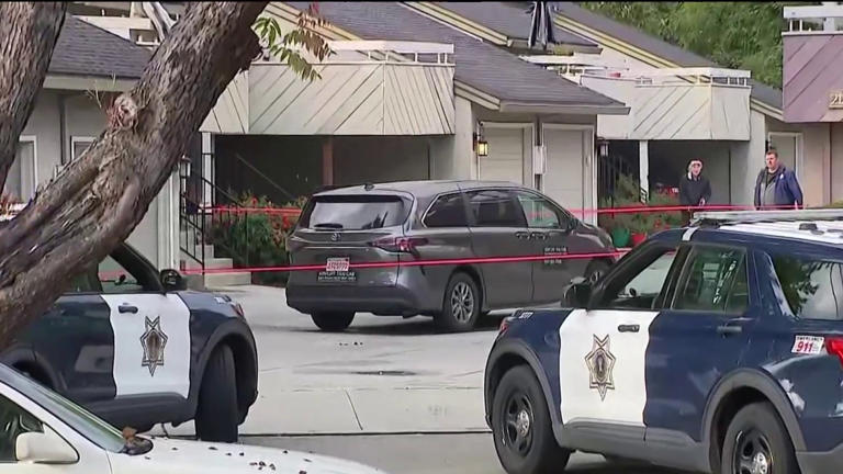 Pedestrian dies after being struck by vehicle in San Jose