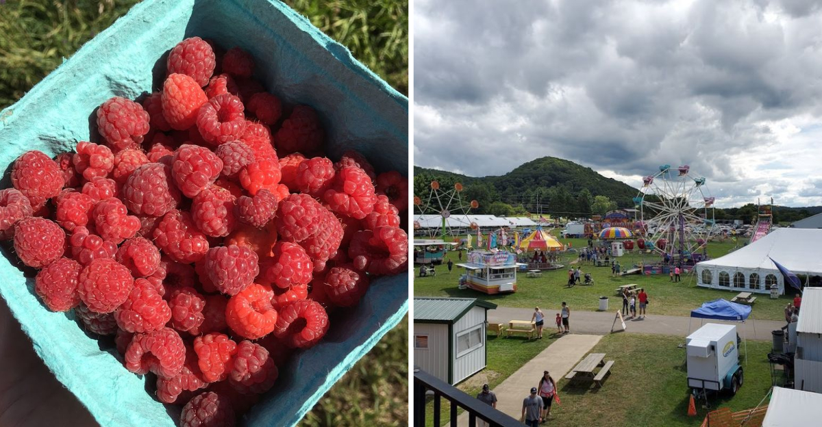 You’ll drive across Wisconsin for the Raspberry Festival at this tiny ...