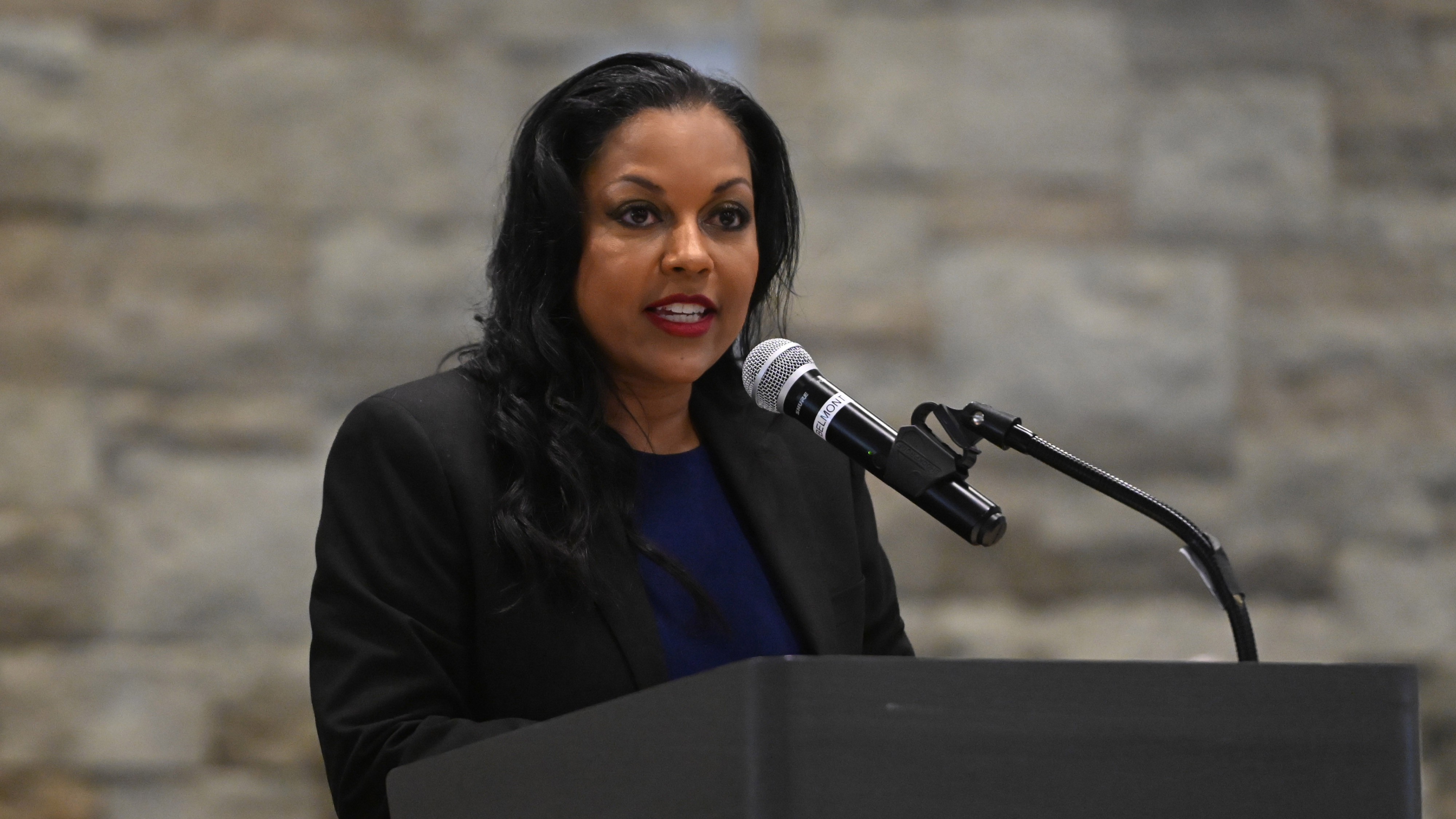 3 Howard County executive candidates have raised more than $250K as ...