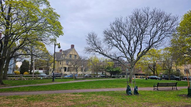 Several neighborhoods in Cambridge ranked among the best in Mass. in survey