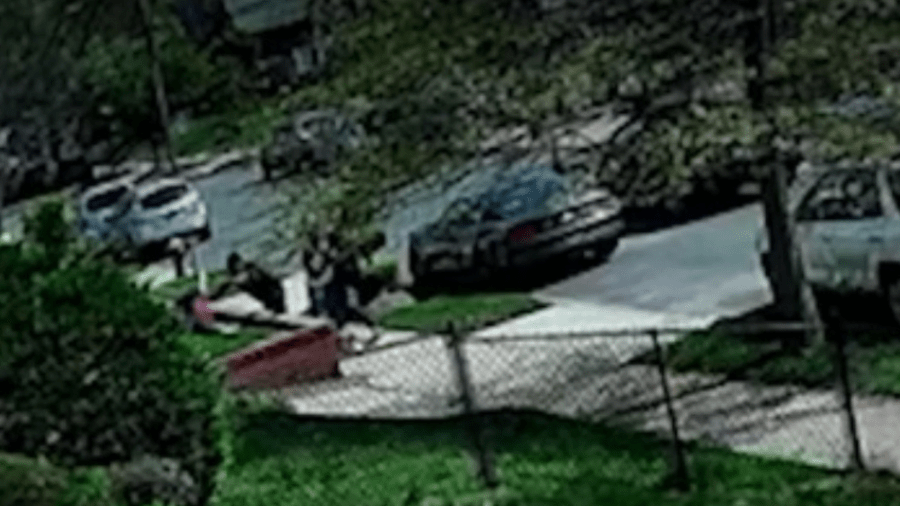 Queens man accused of stabbing neighbors after dog urinated on his lawn
