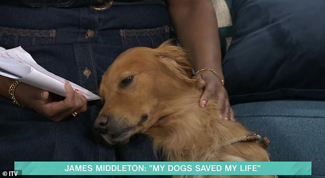 My dog saved my life when I was suffering with depression, says James ...