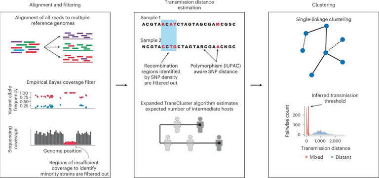Genomic tool untangles how microbes spread—even when they look almost ...
