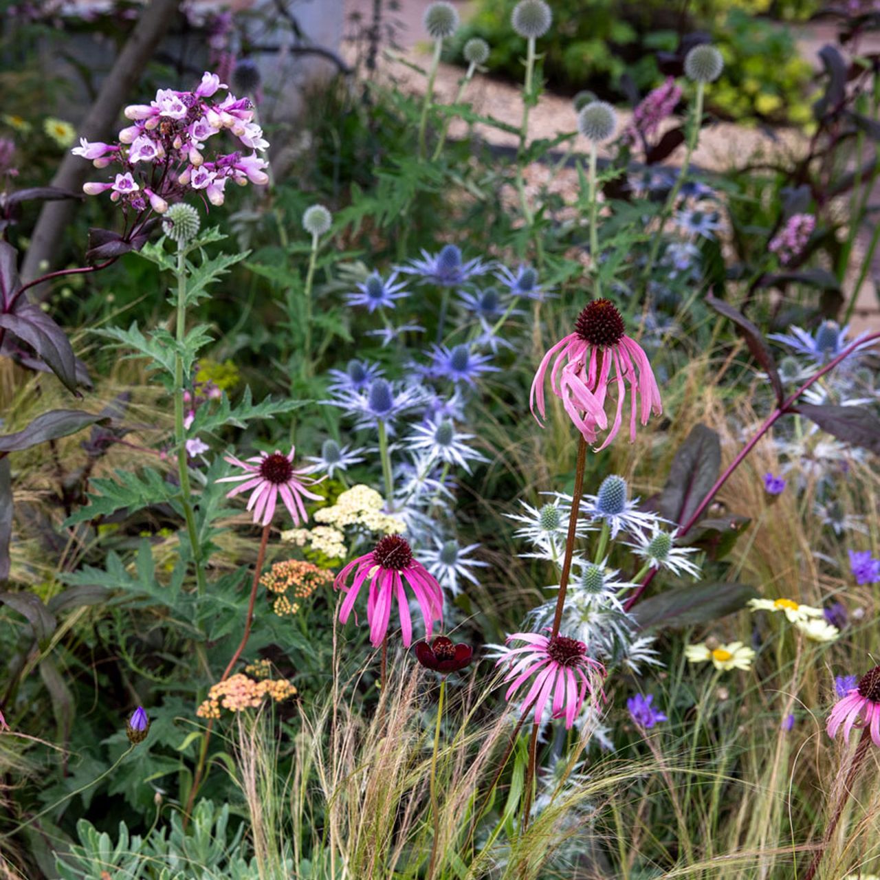 9 dreamy color planting palettes for a modern garden, whether you’re ...