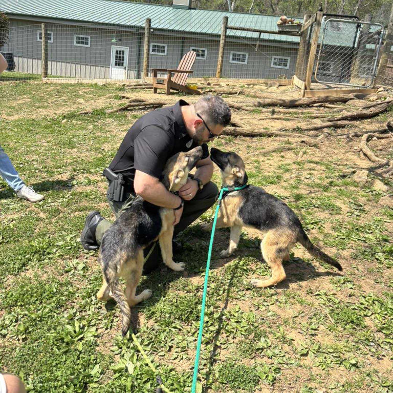 Lancaster County police officers donate 2 cars full of pet supplies ...