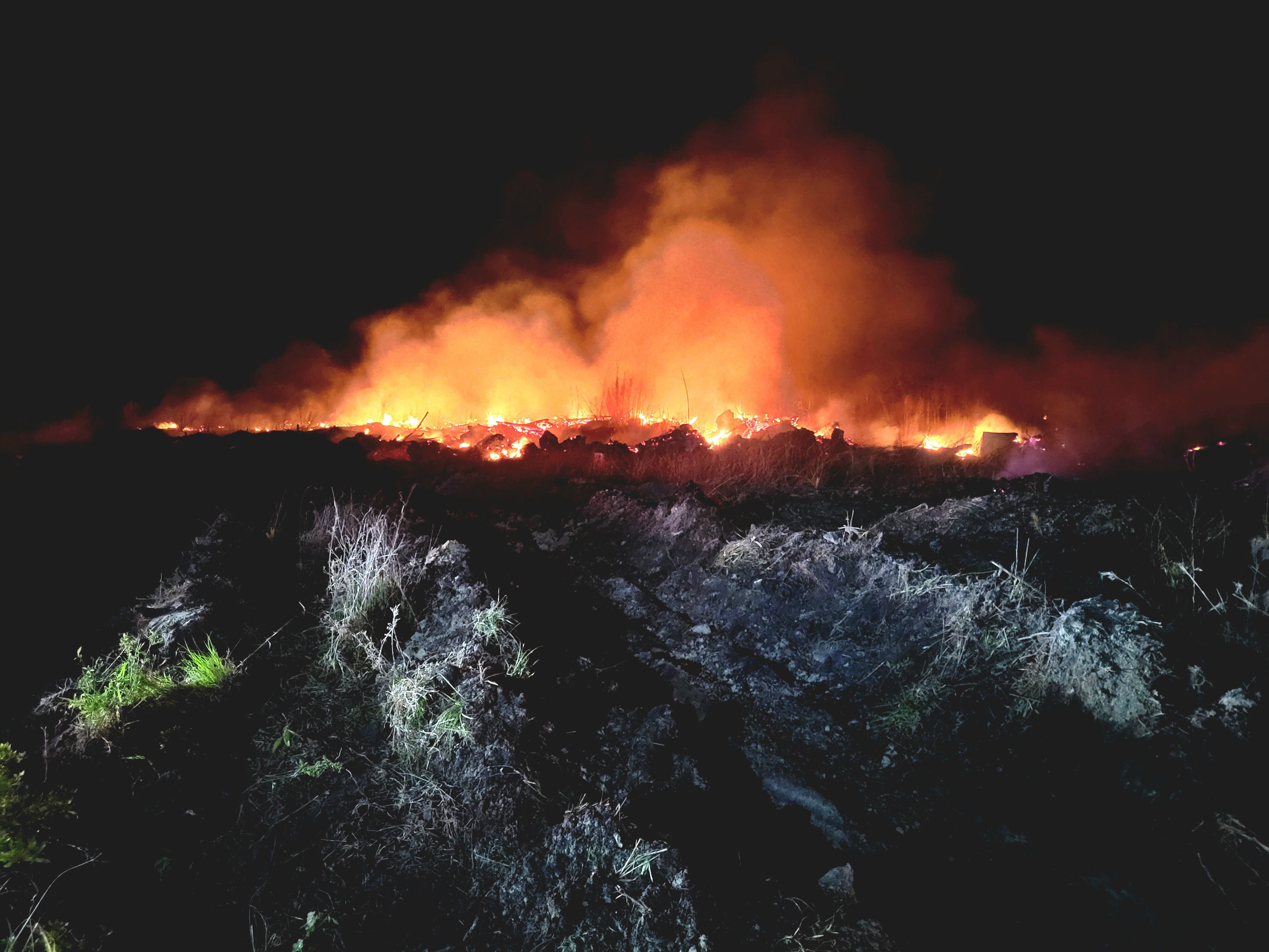 Multiple agencies respond to 30-acre fire in Pender County