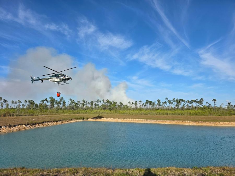 Firefighters battle 20-acre brush fire on HWY 231 in Bay County