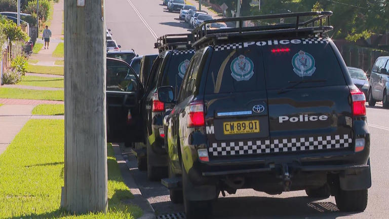 Shots have been fired at three homes in Sydney's south-west.