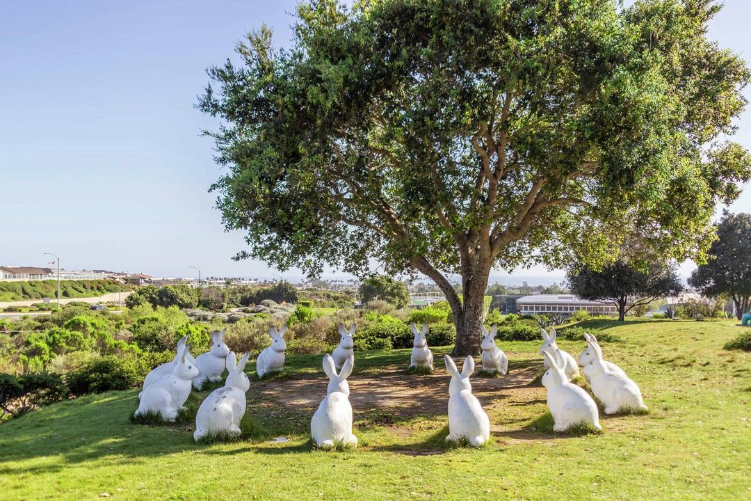 'We don't care for them': Calif.'s richest city goes after famous bunnies