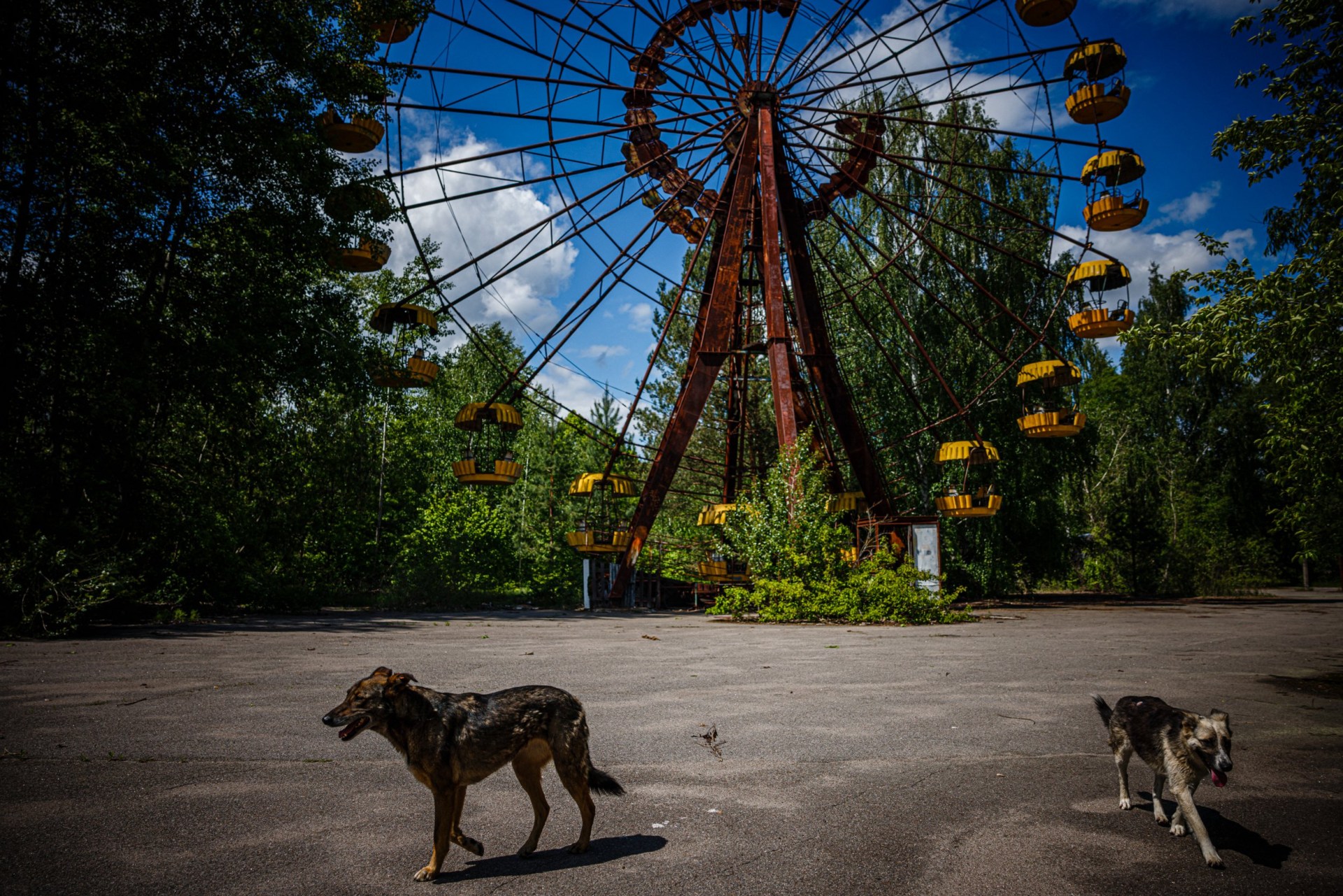 12 of the most radiactive places on Earth, as Chernobyl marks 40 years ...