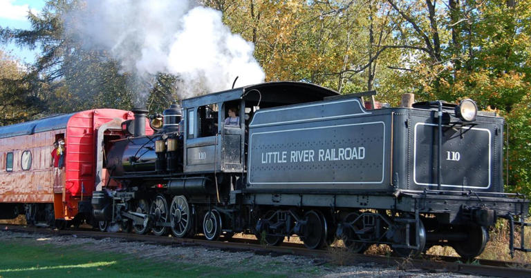 3 scenic train rides in Michigan worth experiencing