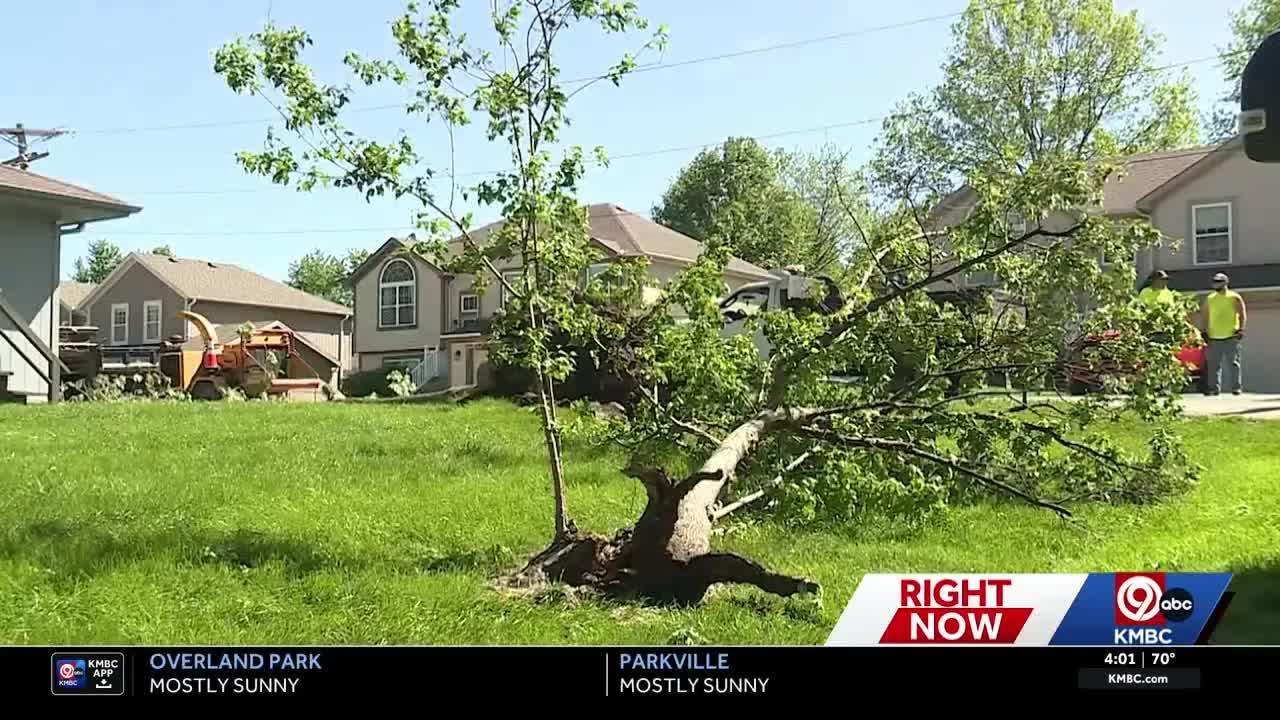 Strong storms, winds topple trees in Kearney, Missouri
