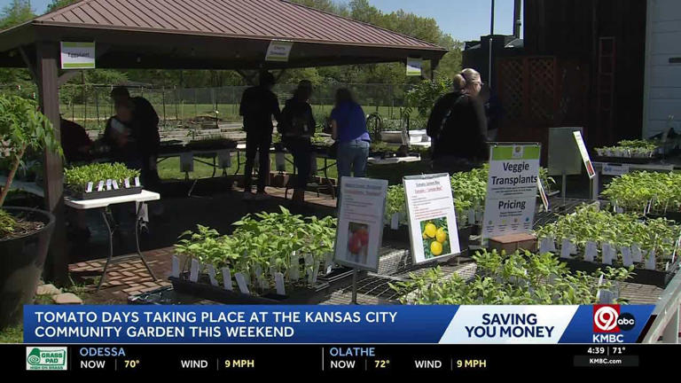 Kansas City Community Gardens 'Tomato Days' sale offers fresh produce ...