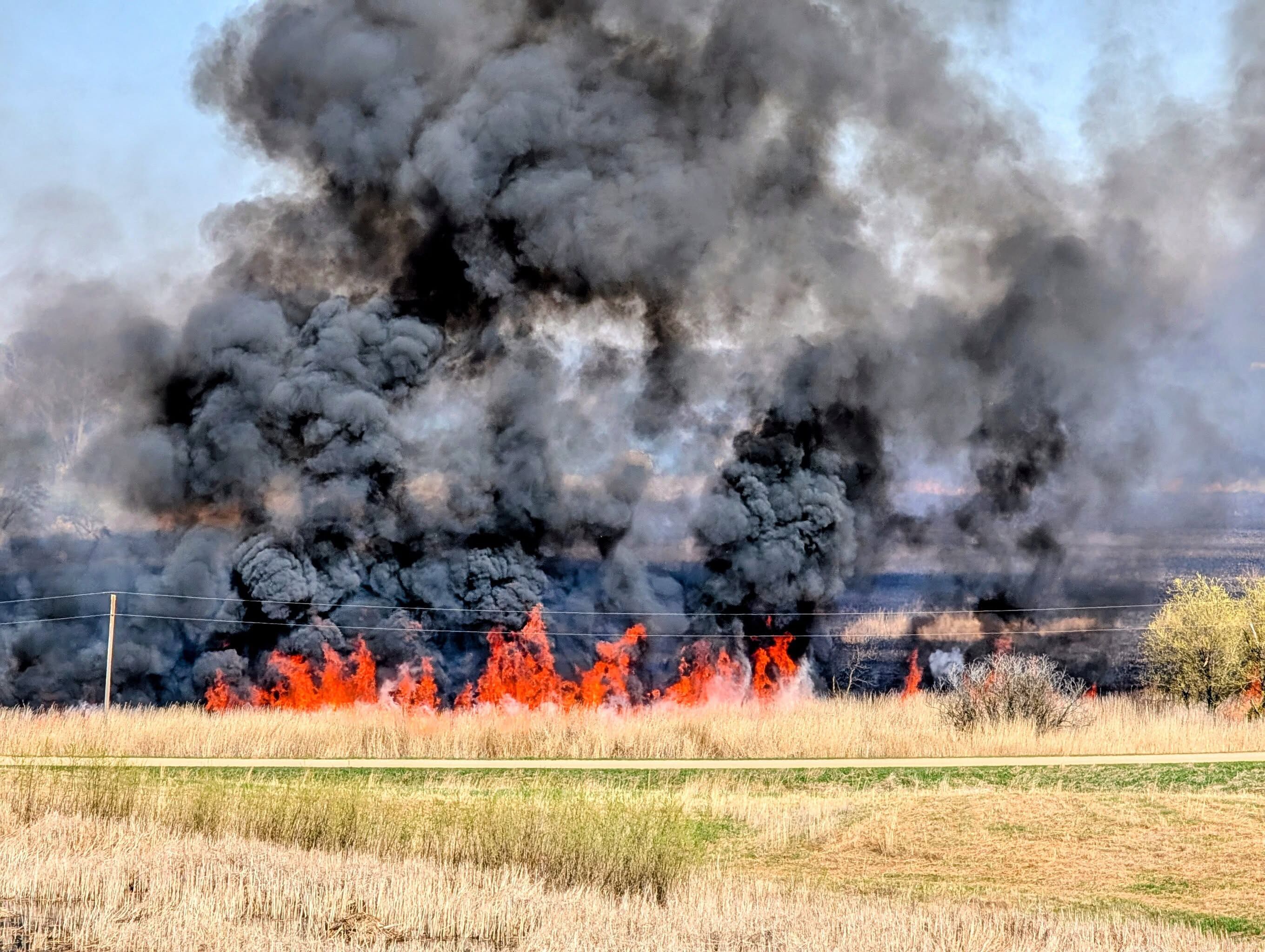 Multiple crews respond to grass fire