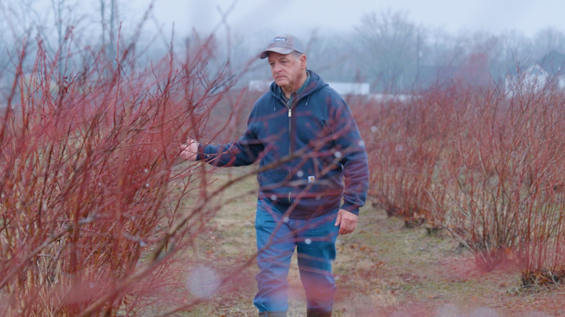 I bought a blueberry farm at 55. It wasn't what I expected, and I'd do ...