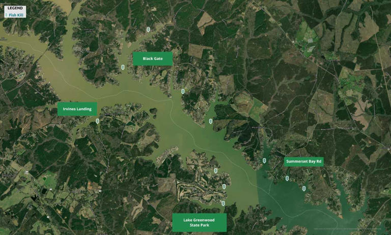 State advises people, pets to avoid parts of Upstate lake as fish kill ...
