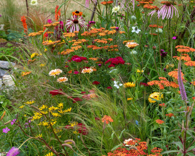 9 dreamy color planting palettes for a modern garden, whether you’re ...