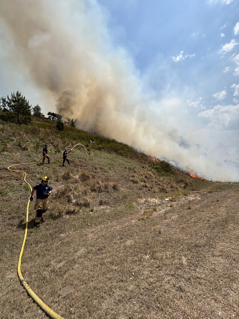 Crews battle brush fire on I-520 in North Augusta