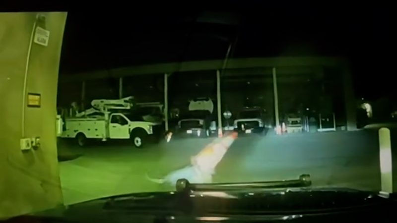 Video shows K-9 get head stuck in traffic cone