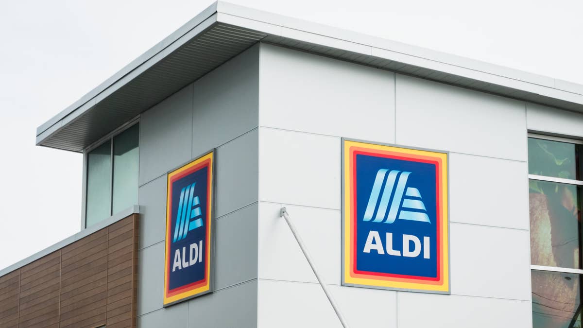 Aldi's Belavi teacup planters bring whimsy to your spring decor for ...