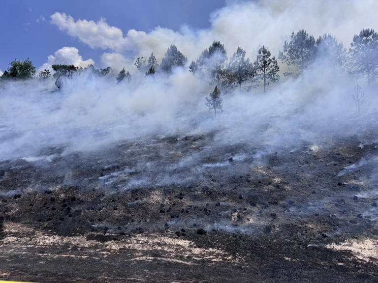 Crews battle brush fire on I-520 in North Augusta