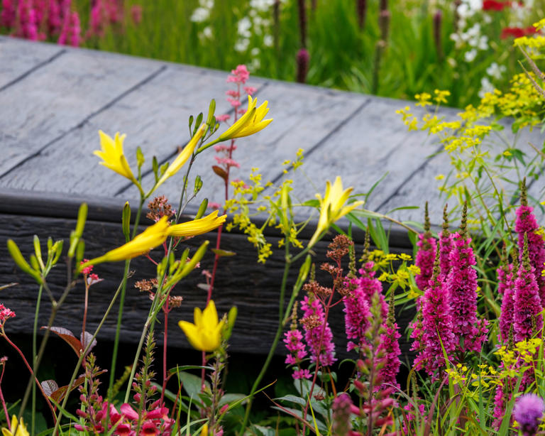 9 dreamy color planting palettes for a modern garden, whether you’re ...