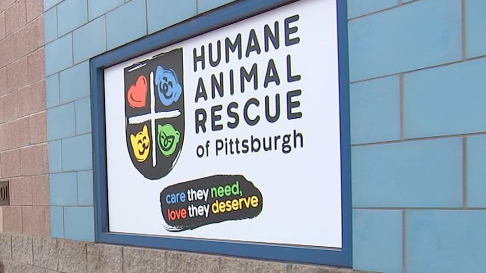Humane Animal Rescue of Pittsburgh using NFL draft as opportunity to ...
