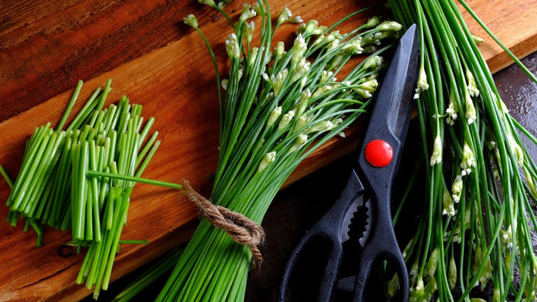The secret to growing chives – everything you need to know about these ...