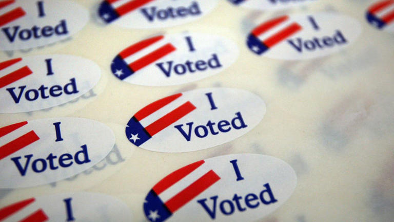 California voter ID bill makes it on the November ballot
