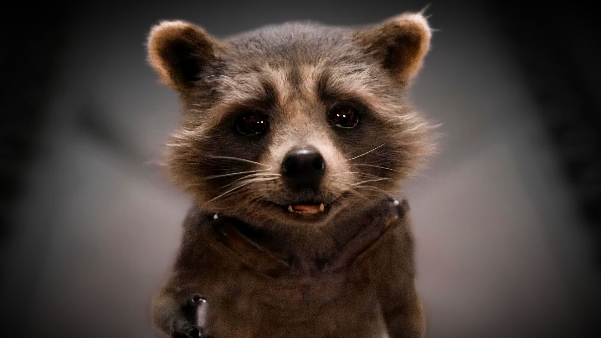 Rocket Raccoon special explores life before Guardians of the Galaxy ...
