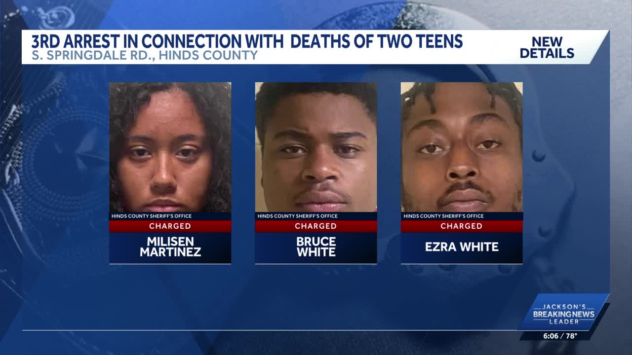 Third arrest made in connection with double homicide