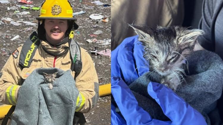 Kitten rescued from landfill fire in Surprise