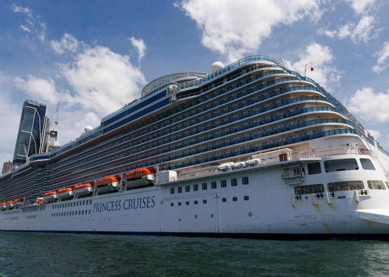 Princess cruise ship recovers 5 'deceased individuals' from sea
