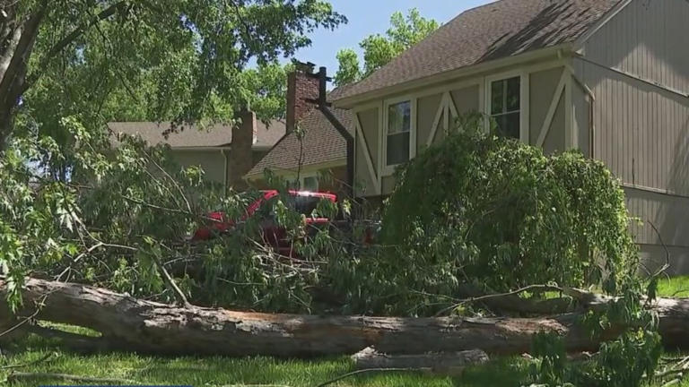 Places across the metro cleaning up after Thursday’s severe weather