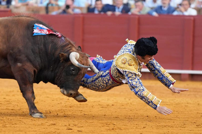 Spanish matador recovering from gruesome rectal injury after ...