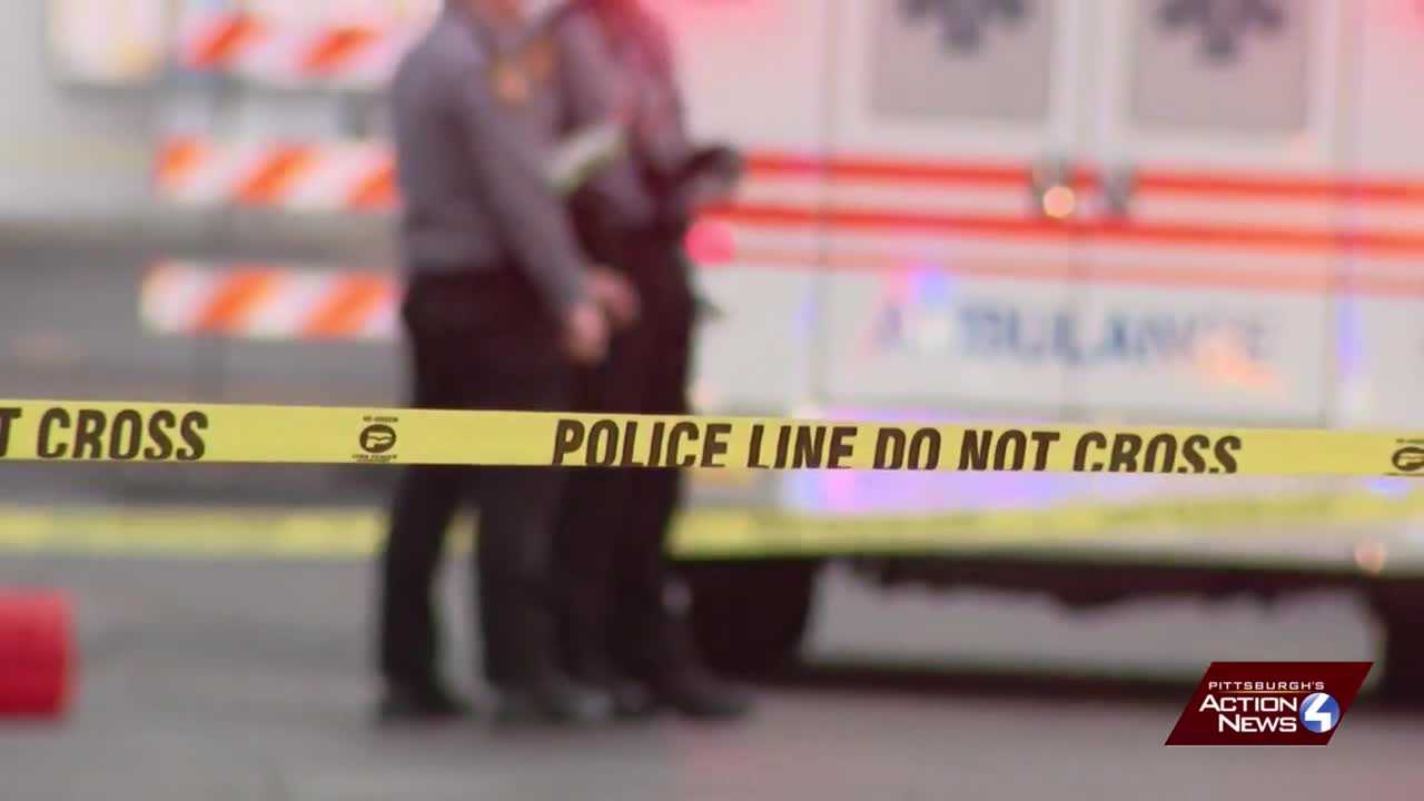 Police: Driver in custody after child killed in hit-and-run in Beaver ...