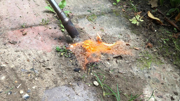 Say goodbye to weeds growing in concrete cracks with one quick no-pull fix