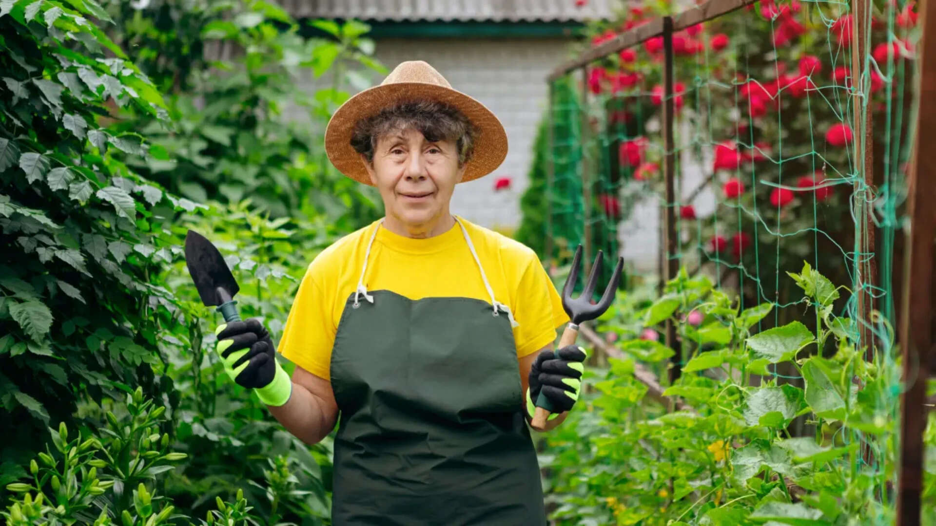 What each gardening tool is actually designed for