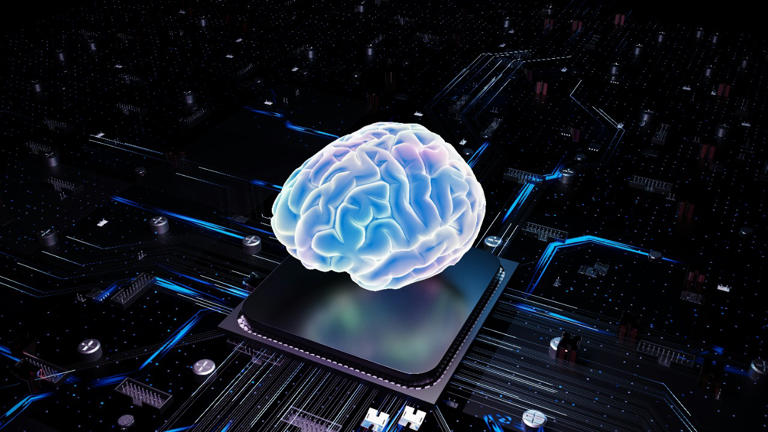New 3D biocomputer uses living brain cells to process information